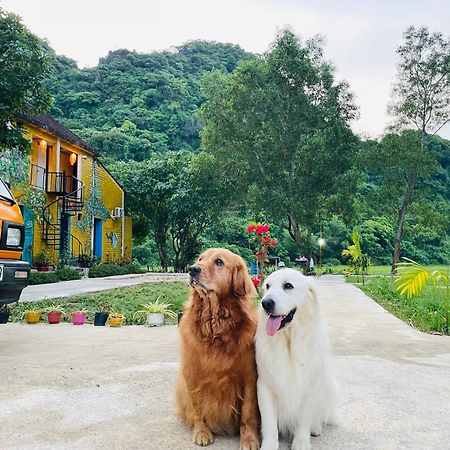 Huy-Homestay Phong Nha Exterior photo