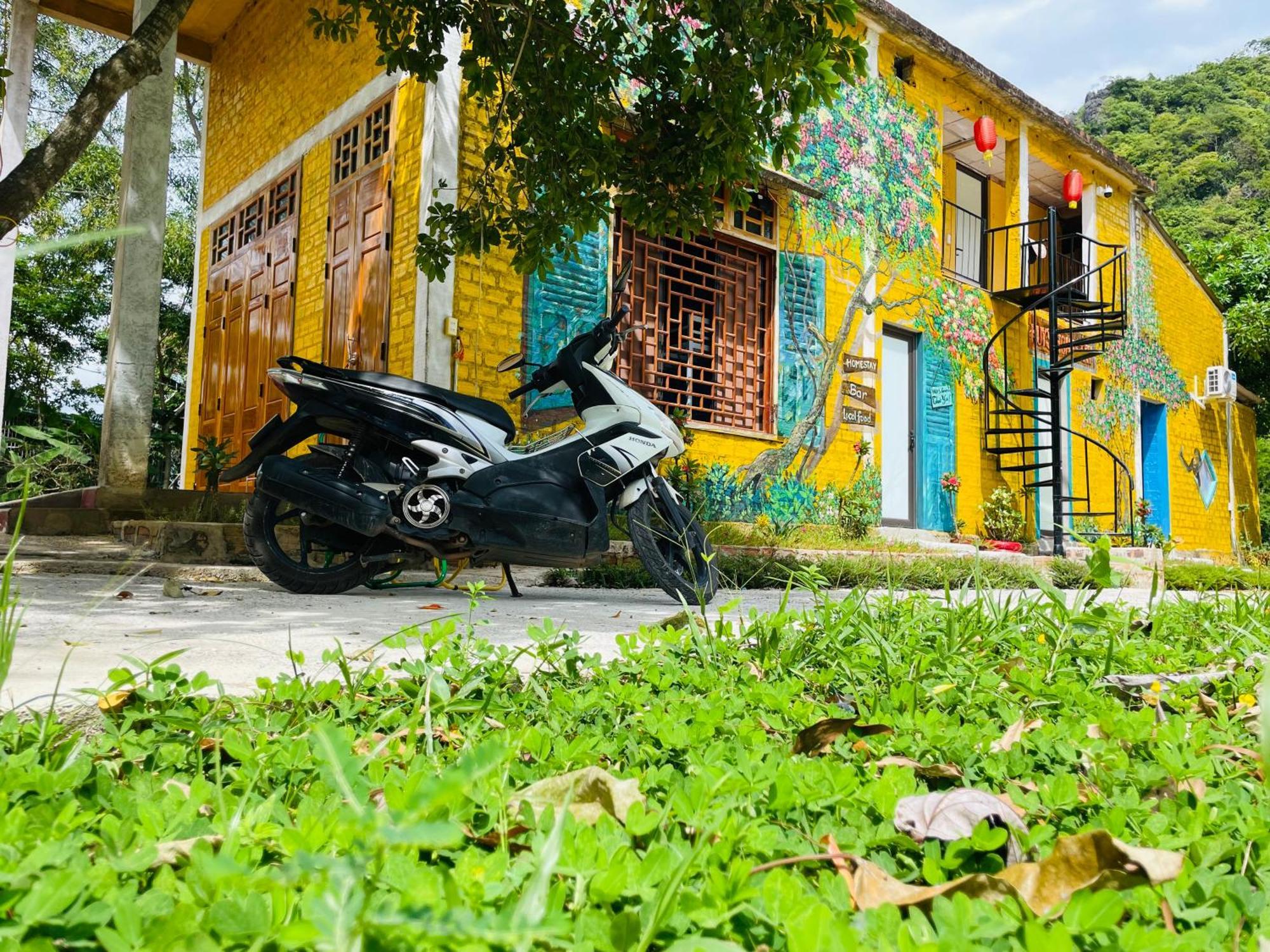 Huy-Homestay Phong Nha Exterior photo