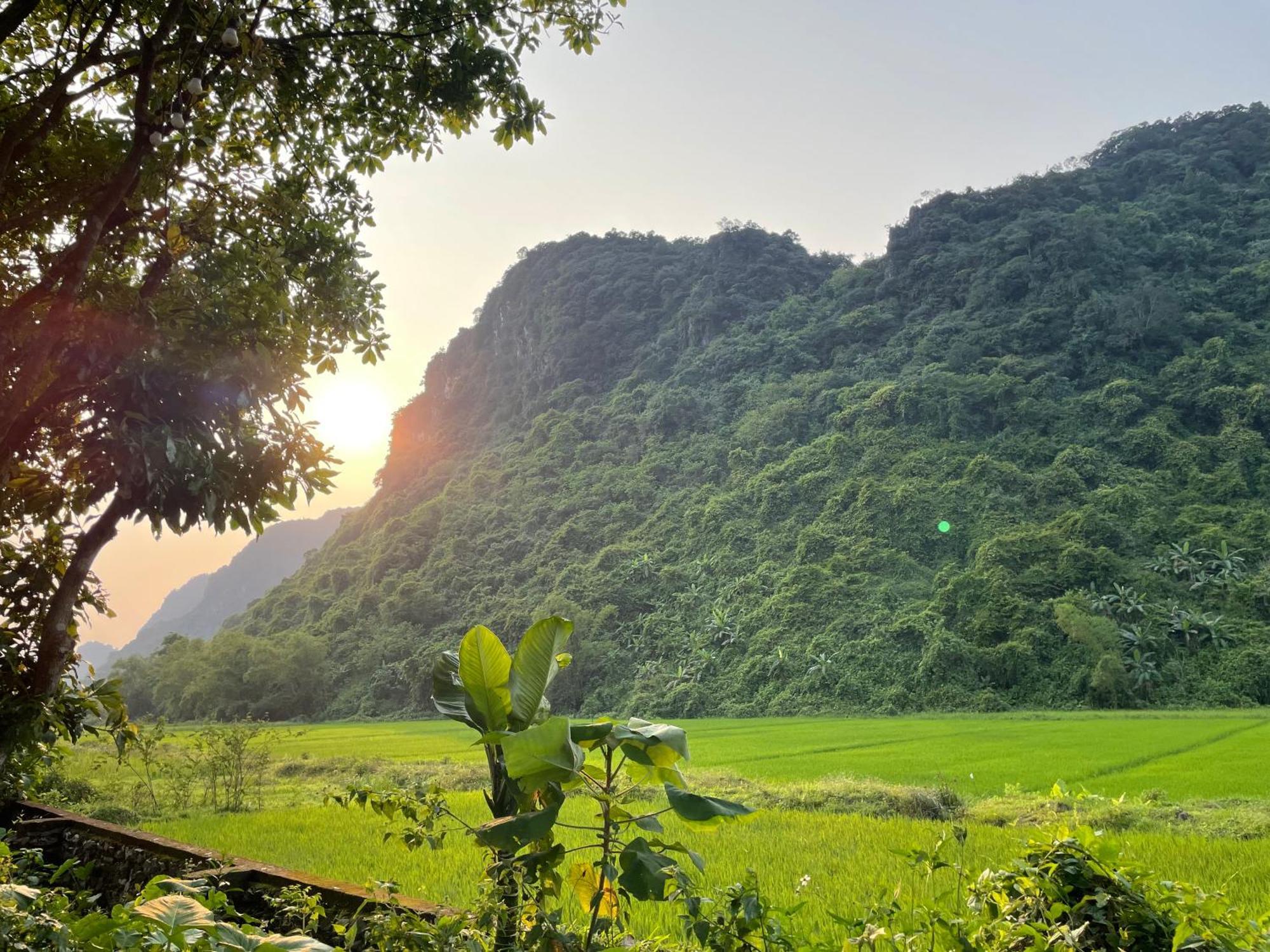 Huy-Homestay Phong Nha Exterior photo