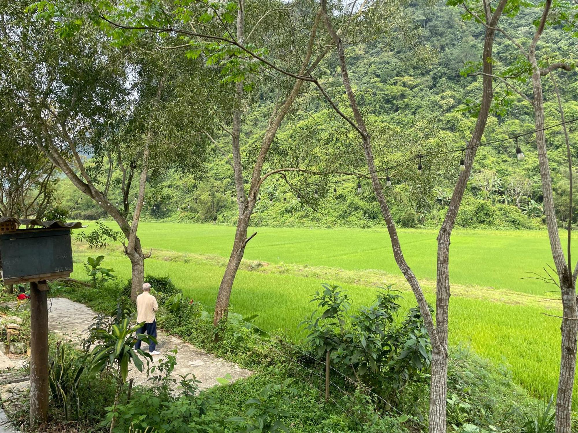 Huy-Homestay Phong Nha Exterior photo
